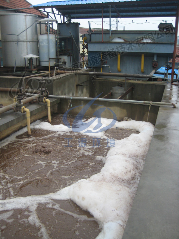 浙江多凌线带现场